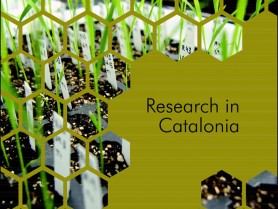 ESOF. Research in Catalonia