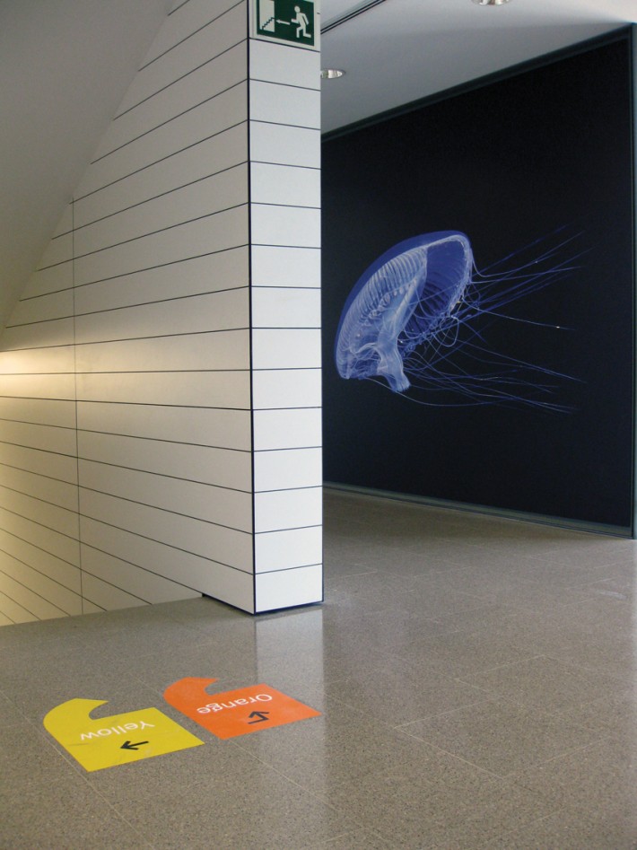 ICFO, The Institute of photonics science, retolació, senyalització, rotulación, signage