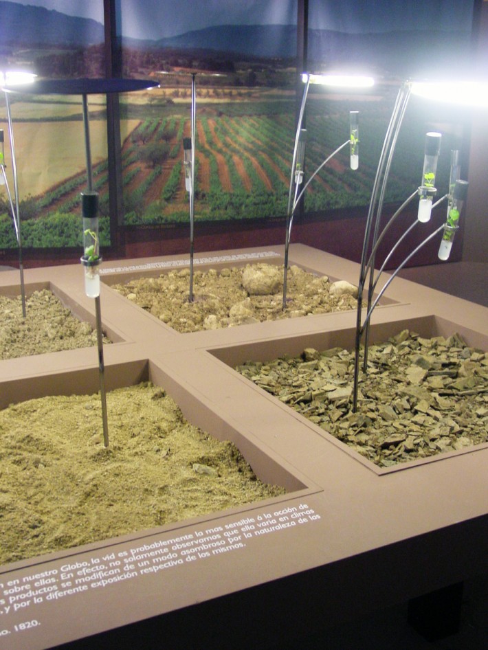Sentits del VI_Exposició_exposicón_exhibit_palau robert_Barcelona